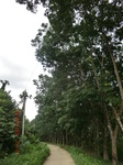 2012-09-26_20-49-18_CIMG0990.JPG