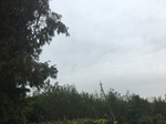 2017-09-10_06-57-46_481609A9-652D-406B-84E5-504126AA006D.jpg