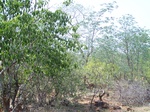 1794427042008(76).JPG