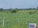 130110282c-rainfed-agriculture-soyabean.gif