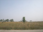 9087RIMG0167.JPG