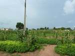 20843P1020703.JPG