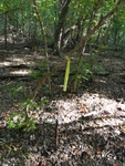 2012-09-24_10-40-14_DSC03124.JPG