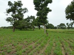 18696P1000534.JPG