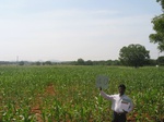 7803gt040a-rainfed-mixed-crops.jpg