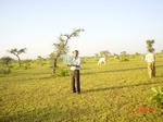 6525gt042-rangeland-1.jpg