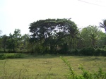 1715919042008(74).JPG