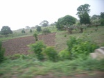 4068RIMG0373.JPG