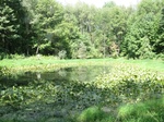 2012-10-04_13-59-49_MI-BR-9-1.JPG