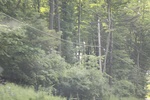 2022-06-11_16-04-23_83706A96-AA0D-449B-BA8A-2EB4217A2618.jpeg