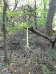 2012-09-24_10-40-16_DSC03091.JPG