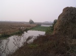 2958 062.jpg