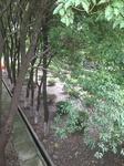 2017-09-10_07-07-04_1DD4B6F2-AD67-4526-9B86-25847E337988.jpg