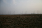 4268IMG_8907.JPG