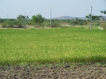 1786126042008(40).JPG