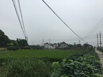 2017-09-10_10-10-54_EB3E06EC-8086-4C2D-BF20-8B66E2B77A7A.jpg