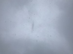 2018-05-27_08-55-36_12A10CB4-EC21-460F-86A9-2E52C56A01BD.jpg