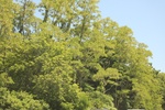 2022-06-12_15-15-38_A88BBC9B-CBD8-4D93-82E5-4FE6F551596C.jpeg