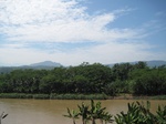 13985IMG_4293.JPG