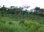 20171P1020023.JPG