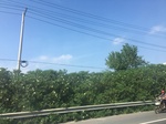 2017-09-12_14-10-23_75B17CC7-10E7-46FB-93D1-0CCB8D27E813.jpg