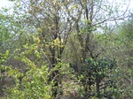 1793027042008(61).JPG