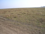 444420071119gps (26).JPG