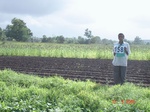 125810158c-rainfed-agriculture-millet-beans-corriander.gif