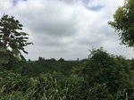 2017-09-12_11-04-18_E0A39CF2-32D7-41FE-9459-FAEFC39C867E.jpg