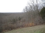 2017-02-22_17-02-29_Feb17-026-TN.jpg