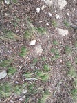 2017-03-02_14-29-02_Feb17-203-TX.jpg