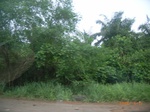 3719RIMG0022.JPG