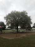 2020-10-29_07-19-10_IMG_2889.jpg