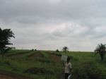 7706gt0118a-cropland-rainfed-supplemental.jpg