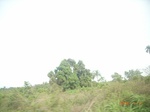 3730RIMG0033.JPG