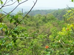 501920042008(43).JPG