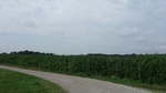 2016-07-27_09-26-03_DSCF1835.JPG