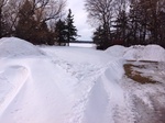 2017-02-27_16-42-33_Feb17-135-ND.jpg