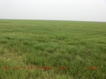 38905CIMG4783.gps.jpg