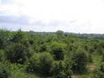 831447-panaromic-view-top-gt47-b.jpg