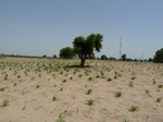 19180P1010026.JPG