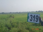 74600319b-irrigated-canal-rice-doublecrop.jpg