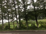 2017-09-10_20-32-36_BF9D17FE-1611-4E68-B4F8-5A25661F0083.jpg