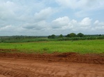19754P1010603.JPG
