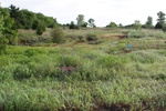 2020-05-27_08-45-37_5_27_20_36thNE_N.JPG