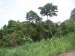 3758RIMG0062.JPG