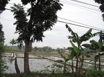 14827IMG_5220.JPG