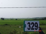 74890329a-irrigated-canal-rice.jpg