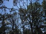 2012-10-11_22-34-44_TX-SM-11-1.jpg