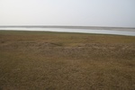 4526IMG_8828.JPG